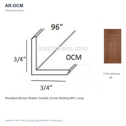 AR-OCM