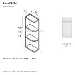PW-WS536