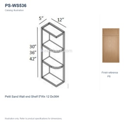 PS-WS536